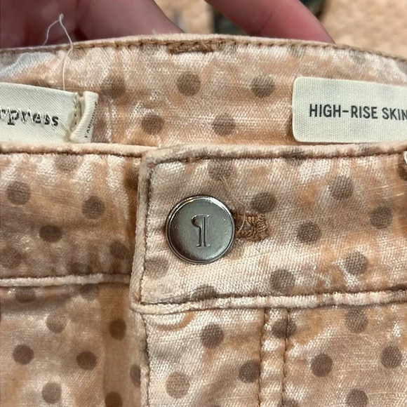 FINAL PRICE Anthropologie Pilcro and the Letterpress Velvet Pants - Picture 9 of 14